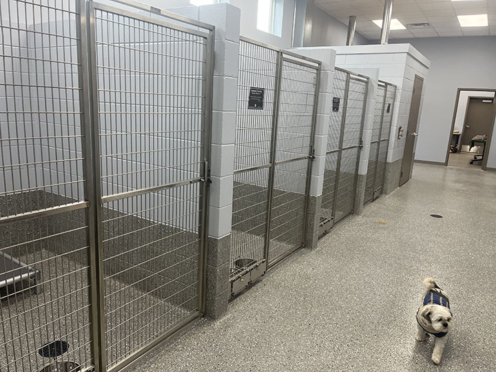 2 DOG KENNELS WEB News, Sports, Jobs The Alpena News